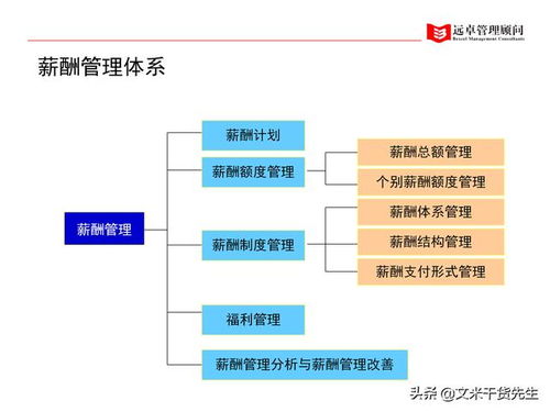 知名咨询公司客户案例 100页人力资源管理的全面提升,系统完整